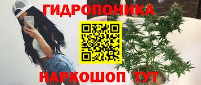 ГАЛЛЮЦИНОГЕННЫЕ ГРИБЫ Камышлов
