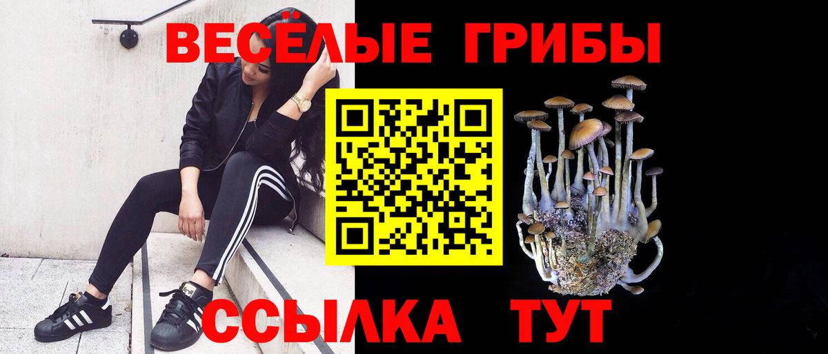 Псилоцибиновые грибы мицелий Краснознаменск