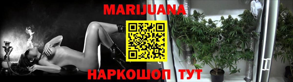 Конопля семена  Шишки марихуана семена  Конопля VHQ  Марихуана планчик  Вход с VPN  Краснознаменск 